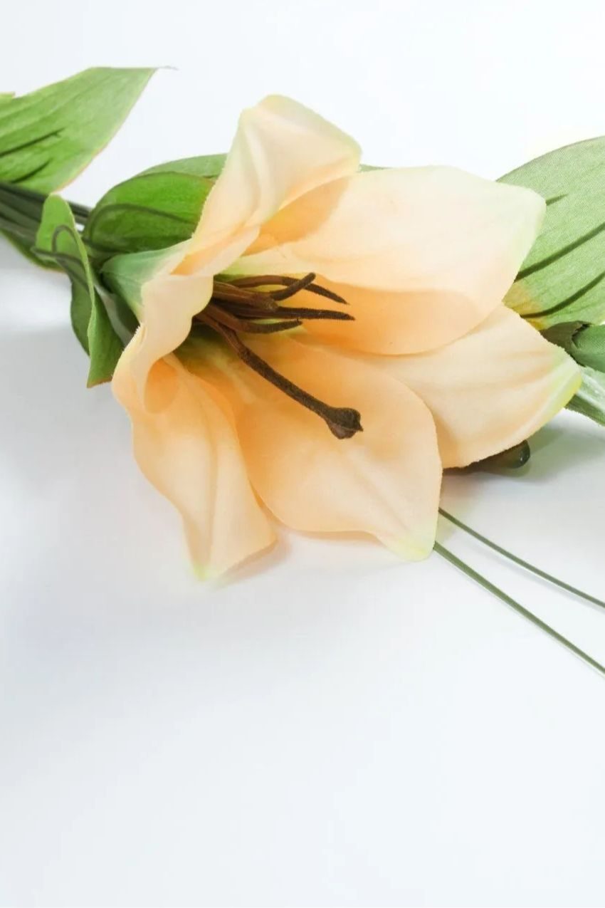 Memorial photo of Brad Bobbermein