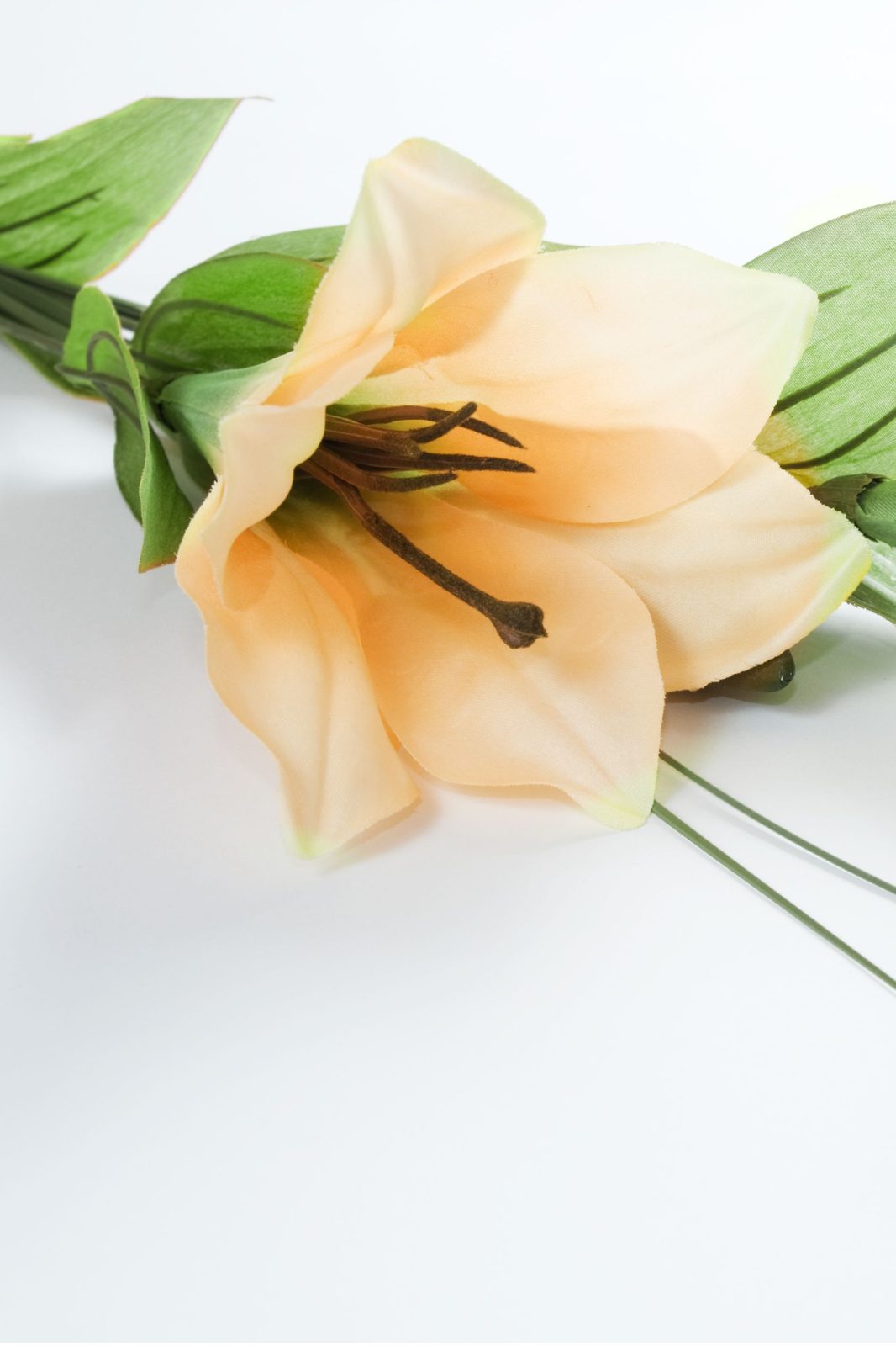 Memorial photo of Bradley Stanley Rigby