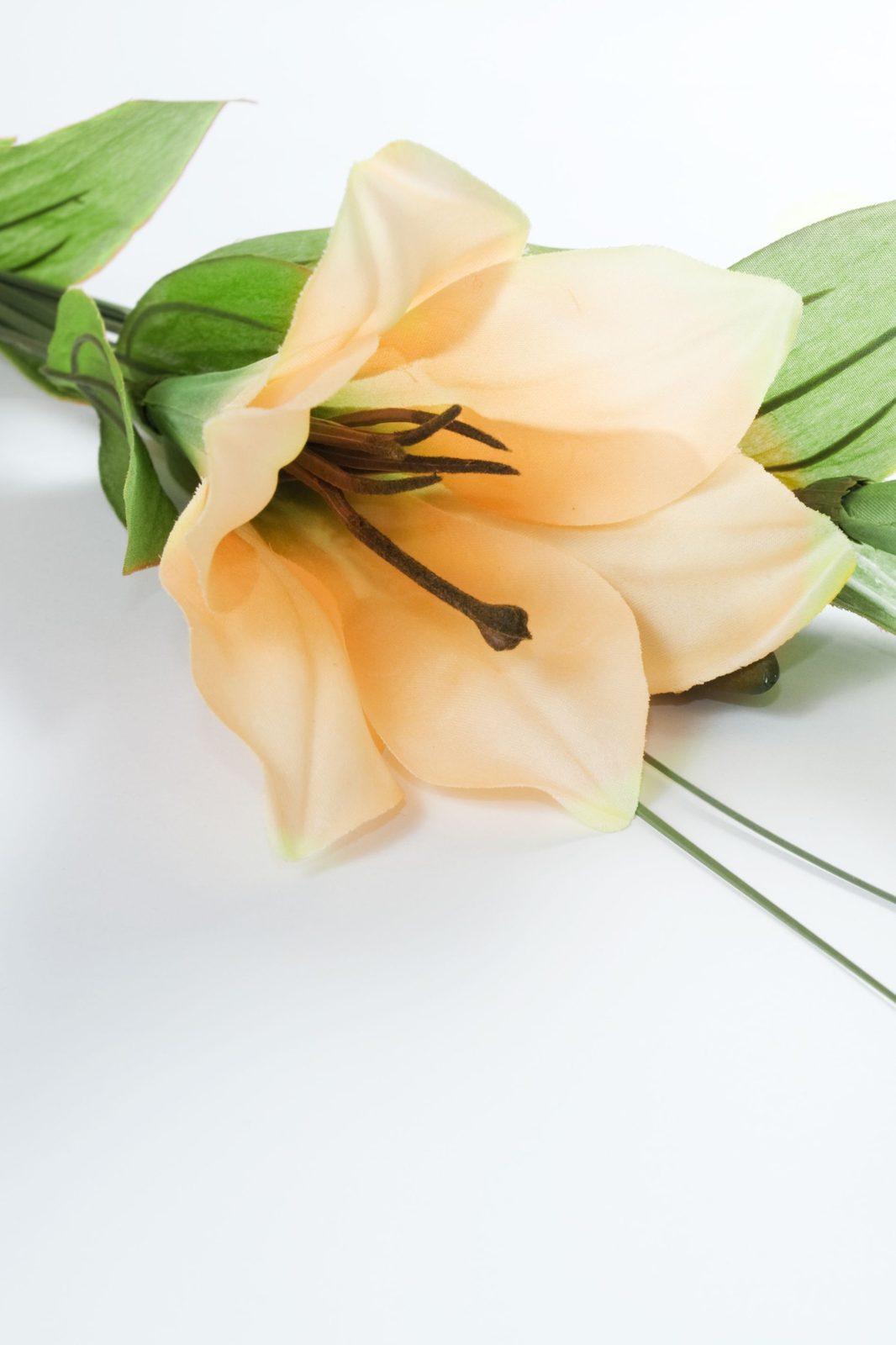 Memorial photo of Brendon John Wales