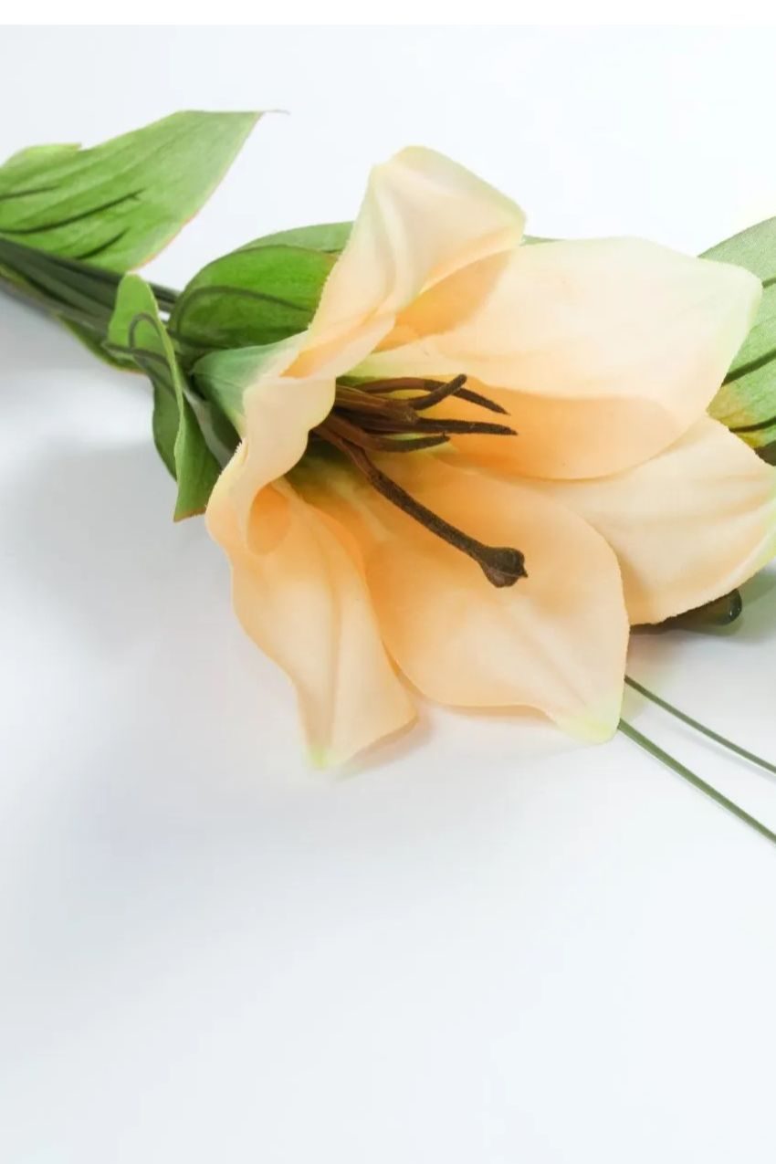 Memorial photo of Carl Warren Tabke