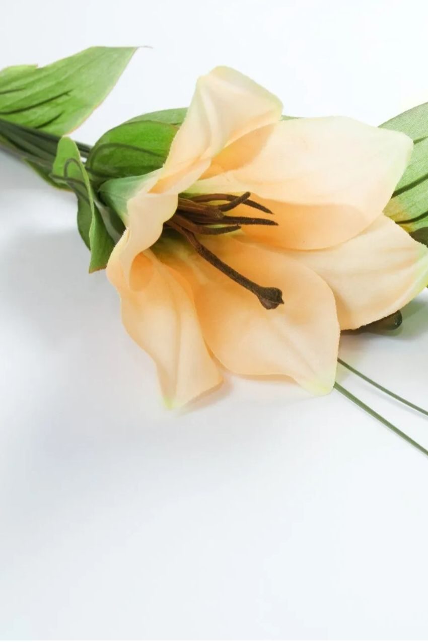 Memorial photo of David Ray Thomas