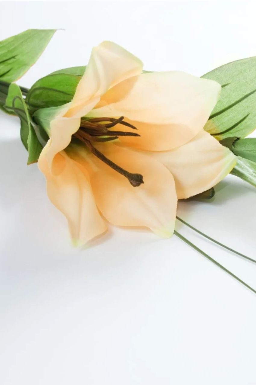 Memorial photo of Delma Merle Capern (Nee Foote)