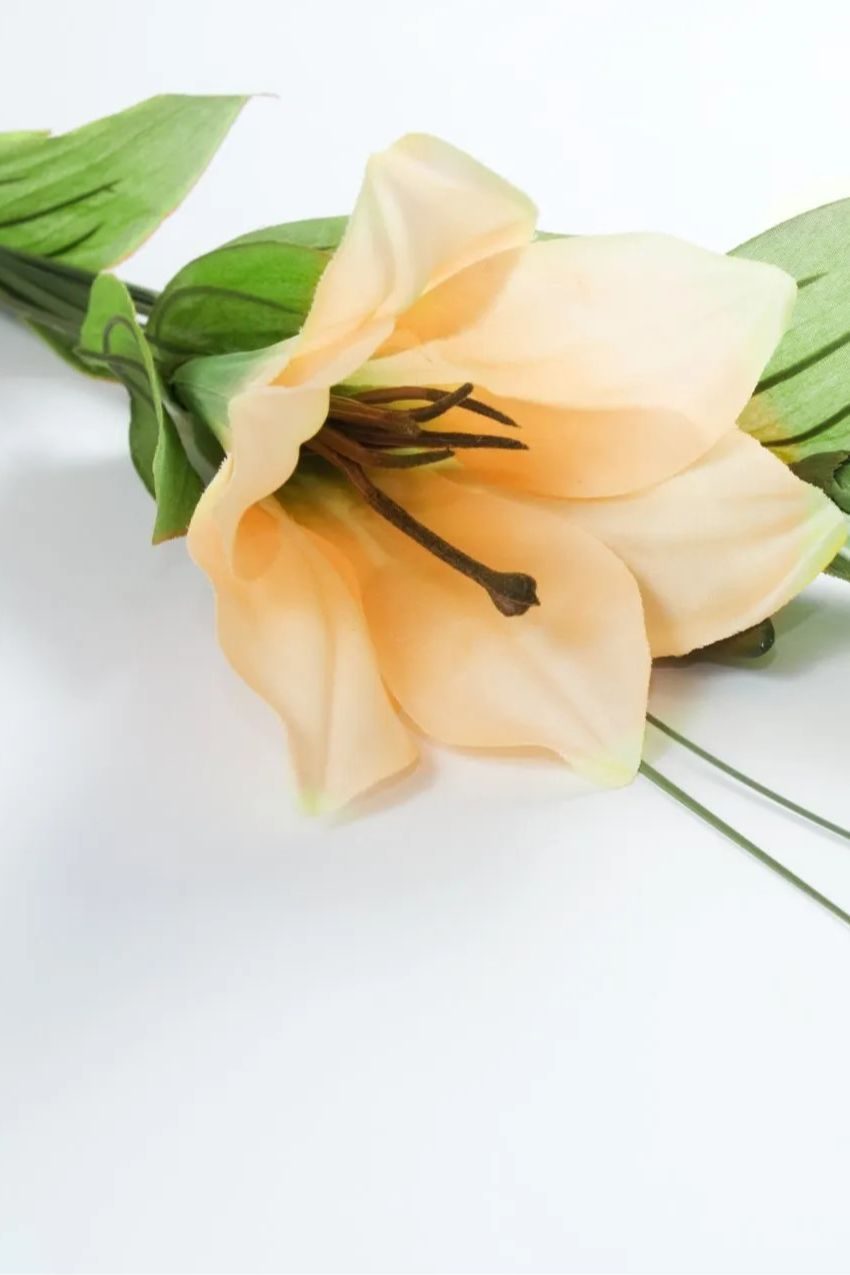 Memorial photo of Gregory Quinn
