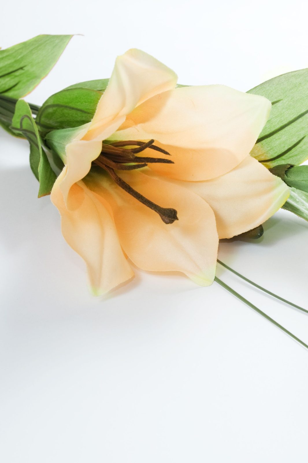 Memorial photo of Helen Joy Bates