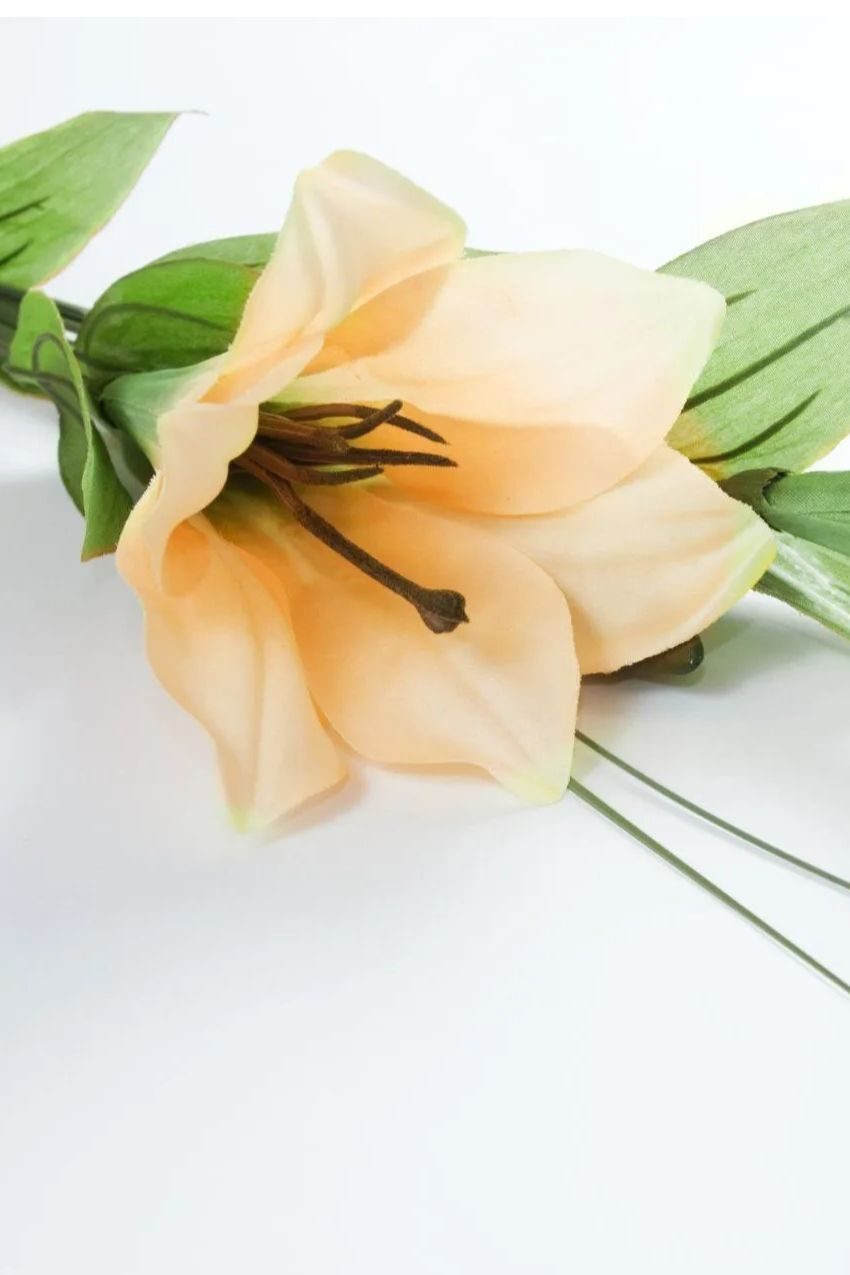 Memorial photo of Hendrik du Plessis