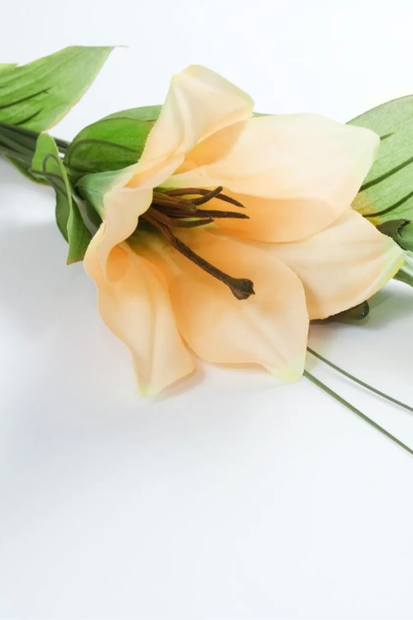 Memorial photo of Janice Edna Collins