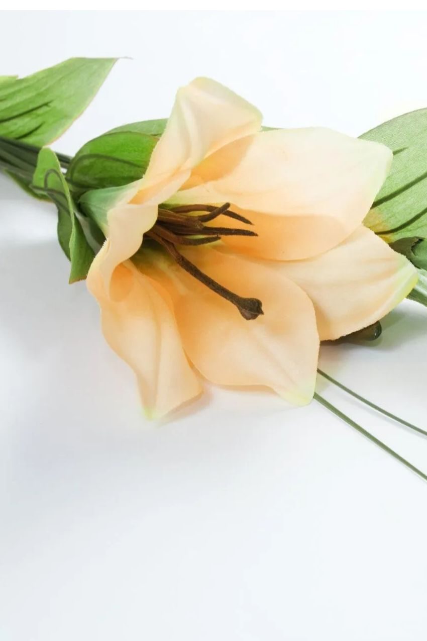 Memorial photo of Karen Deanna Shepheard