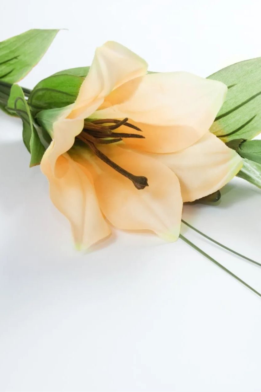Memorial photo of Lance Reginald Peel