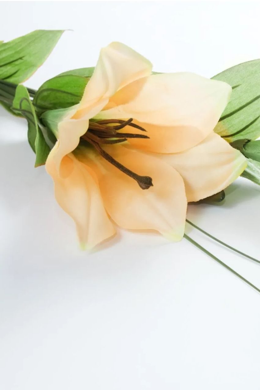 Memorial photo of Marie Simone Gallimore
