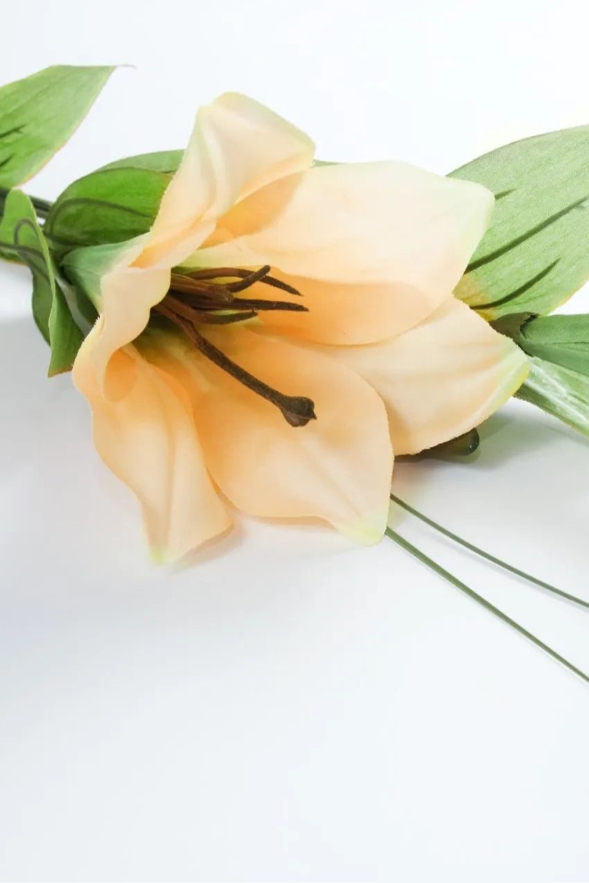 Memorial photo of Maureen Janice Percival