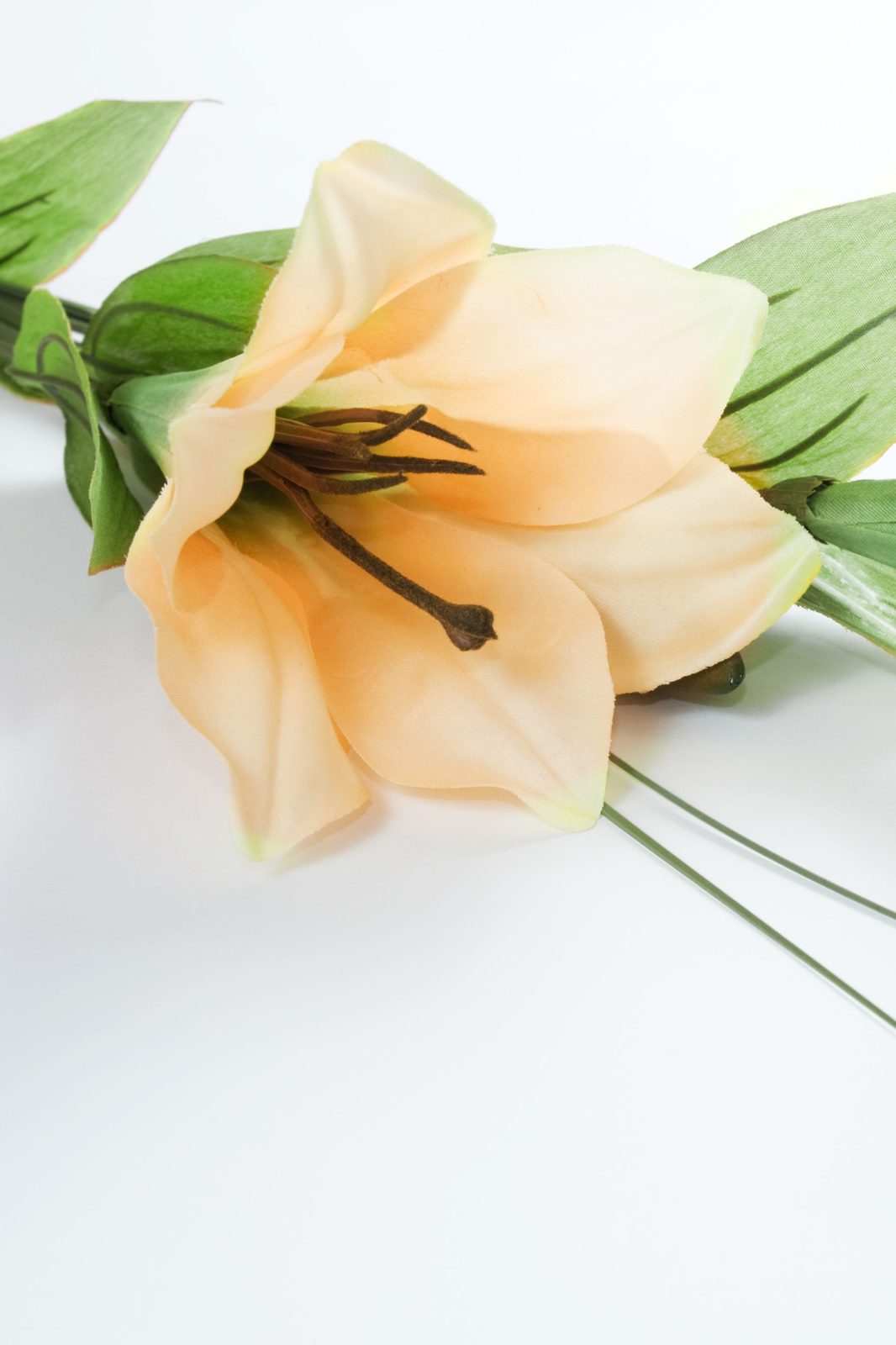 Memorial photo of Patricia (Pat) Collins
