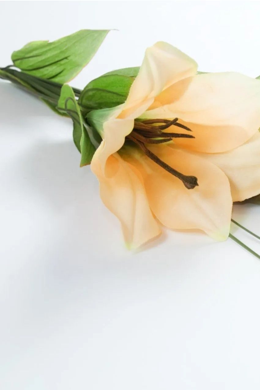Memorial photo of Steven William Jackson