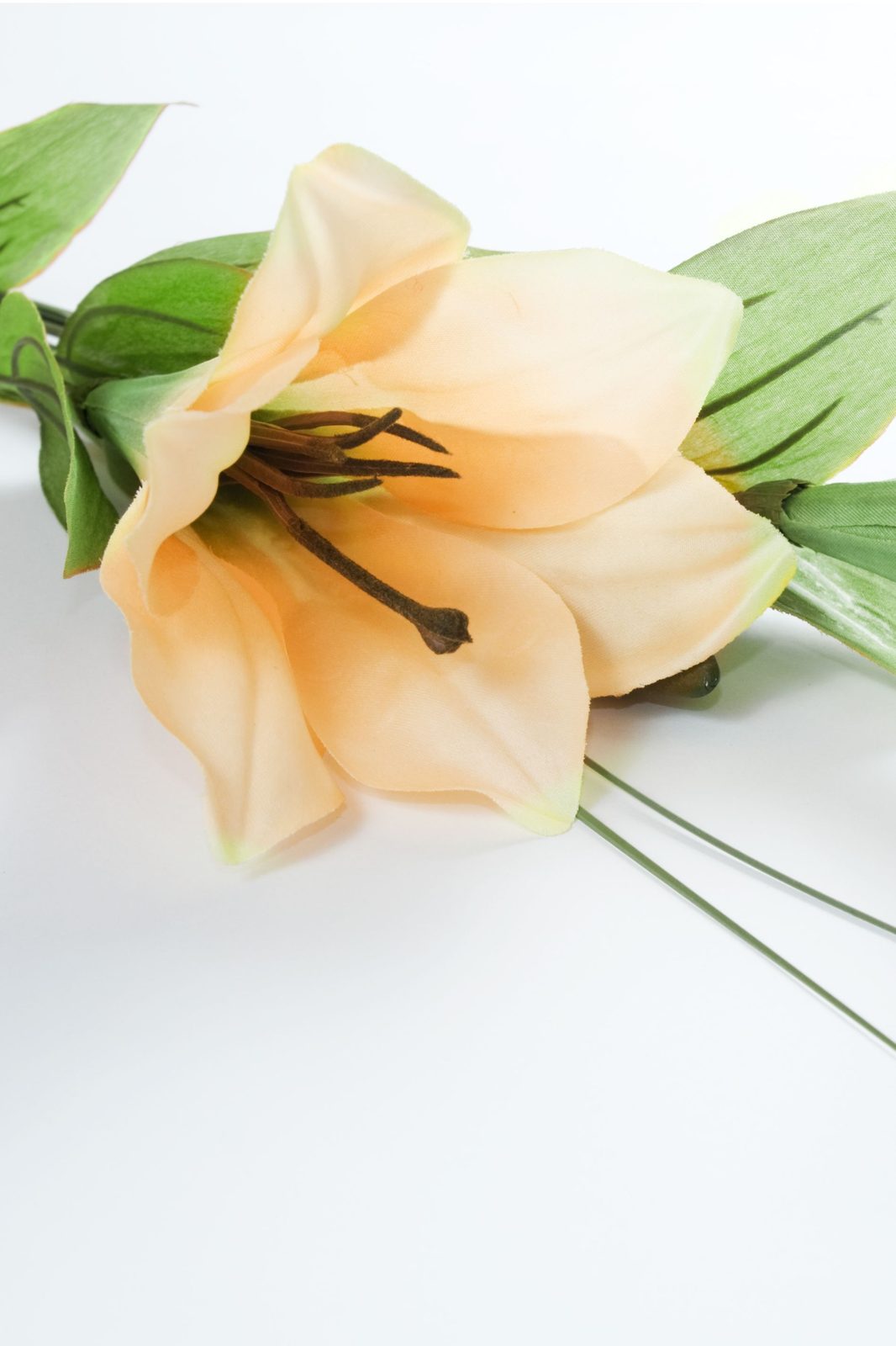 Memorial photo of Valerie Joyce Jolley