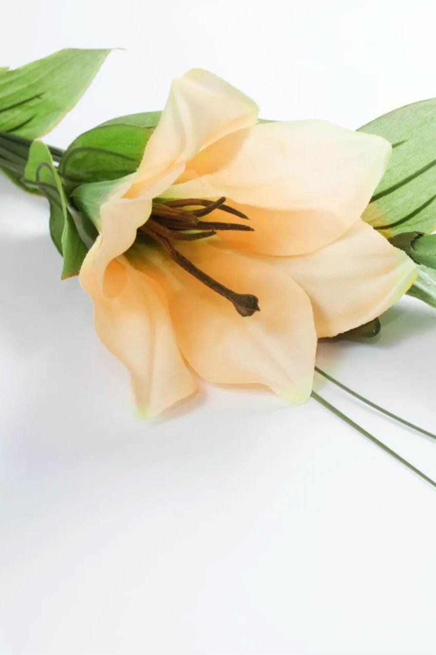 Memorial photo of Youxi Chen